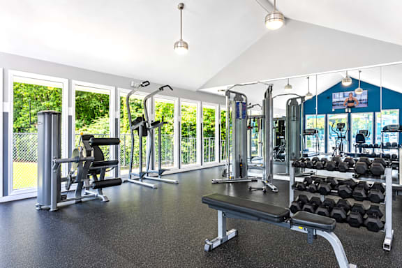 A gym with a variety of equipment including weights and a rowing machine.