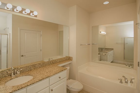 master bath with garden tub