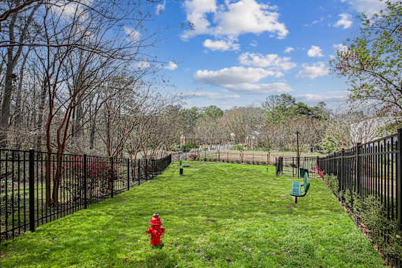 Dog Park at The Brookwood, Homewood, Alabama
