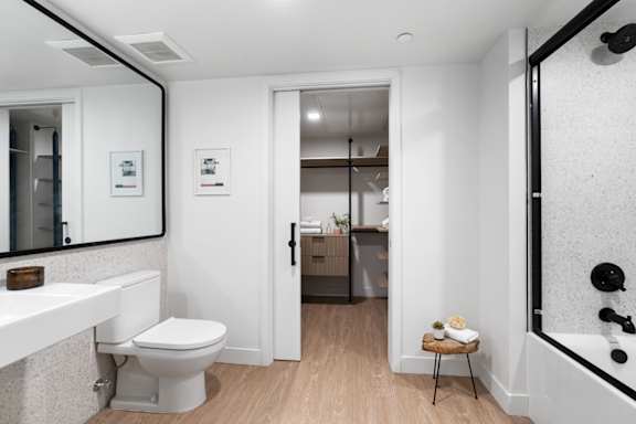 B3 - Spacious bathroom with walk-in closet