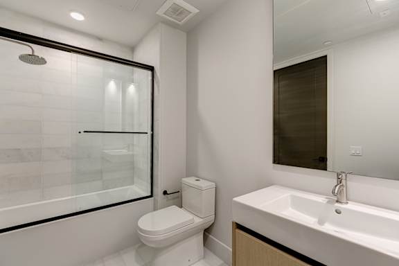 Full guest bathroom