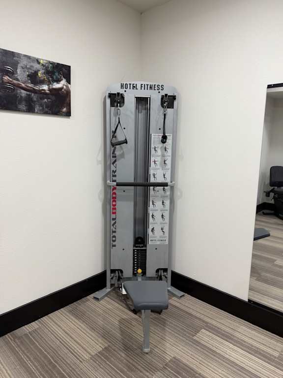 A hotel fitness room with a TRX suspension trainer.