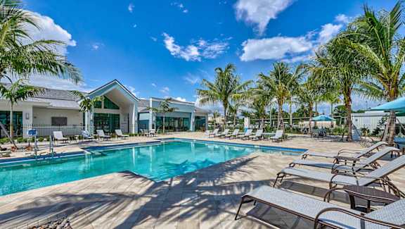 A large swimming pool surrounded by lounge chairs and palm trees.