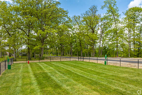 A green grassy field with trees in the background and a fence running along the edge.