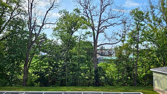A tree with no leaves stands in front of a house.