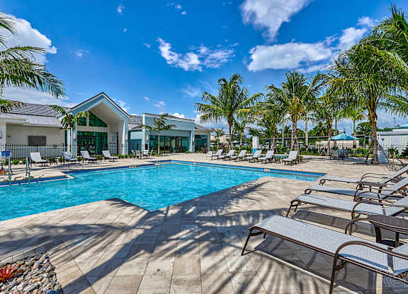 A large swimming pool surrounded by lounge chairs and palm trees.