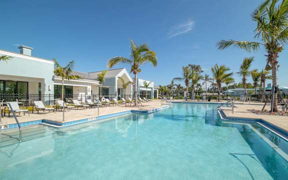A large swimming pool surrounded by palm trees and lounge chairs.