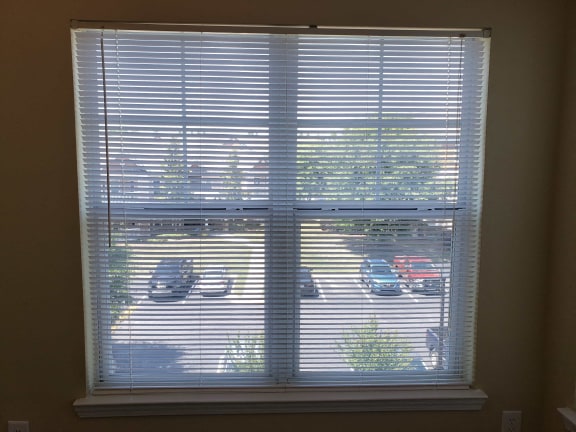 blinds at Stone Ridge Apartment Homes, Mobile, Alabama