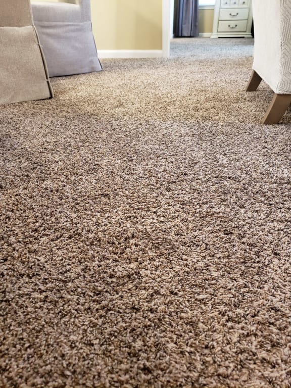 Carpet at Stone Ridge Apartment Homes, Mobile, AL