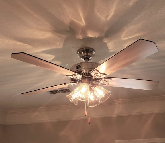 Ceiling Fan at Stone Ridge Apartment Homes, Mobile, 36695