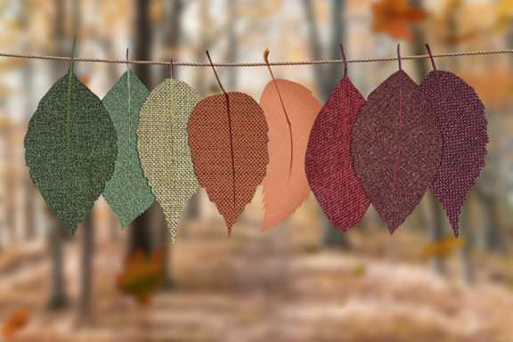 Fall Decor at Maple Grove, Nebraska, 68521