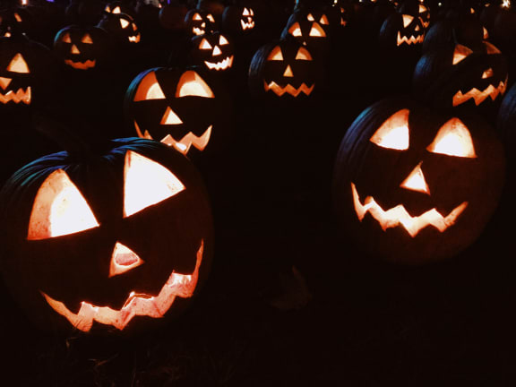 Halloween at Maple Grove, Lincoln, NE