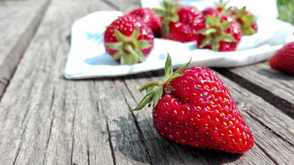Strawberries at Patterson Place, California, 93111