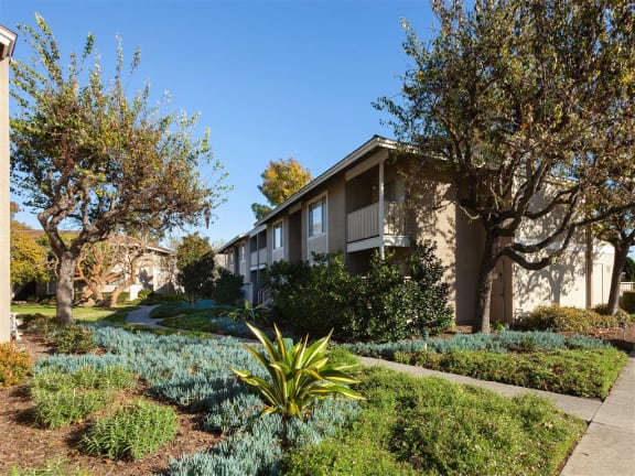 Green Setting at Patterson Place, Santa Barbara