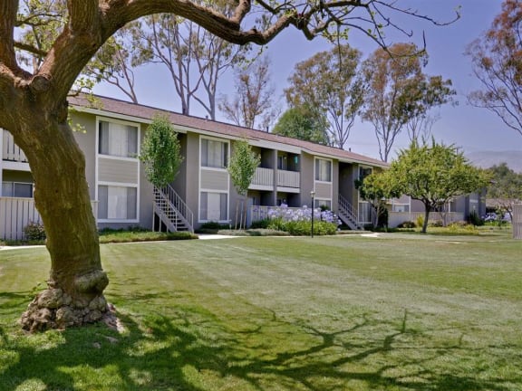 Maintenance Services at Patterson Place, California