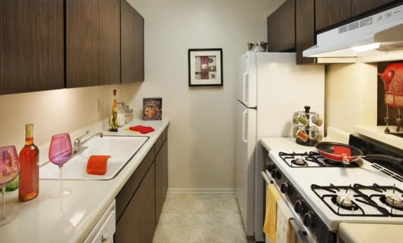Modern Kitchen at Patterson Place, Santa Barbara
