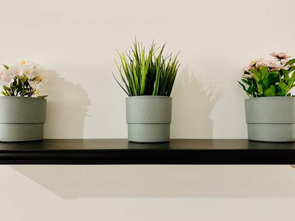 Image Of Table Plants at Patterson Place Apartments, Towbes, Santa Barbara, CA, 93111