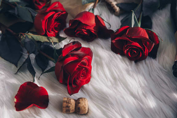 Image Of Rose at Patterson Place Apartments, Towbes, Santa Barbara