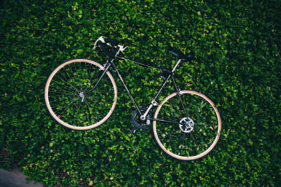 Image Of Bicycle In Garden at Patterson Place, Santa Barbara, CA, 93111