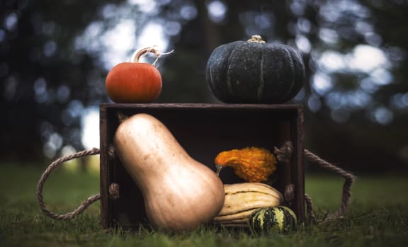 Fall at Rancho Franciscan Senior Apartments, California