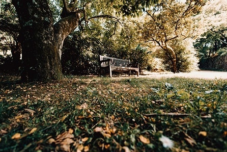 Park at Rancho Franciscan Senior Apartments, California, 93105