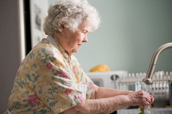 Chores at Rancho Franciscan Senior Apartments, Santa Barbara