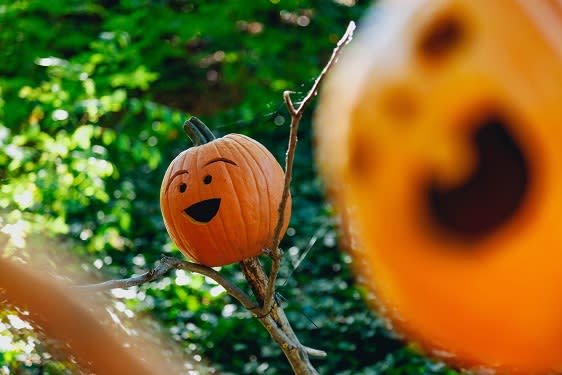 Halloween at Rancho Franciscan Senior Apartments, California