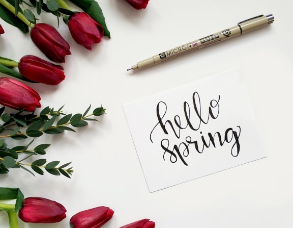 Spring at Rancho Franciscan Senior Apartments, Santa Barbara, California