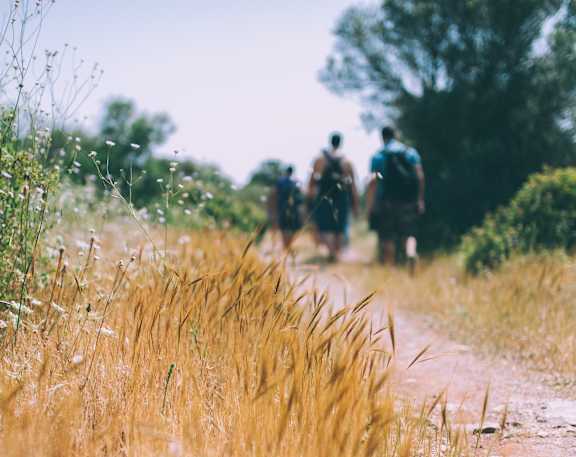 Trail at Rancho Franciscan Senior Apartments, Santa Barbara