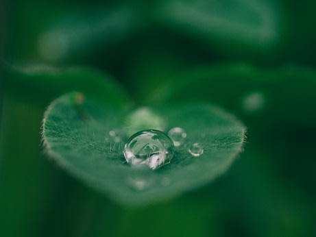 Water at Rancho Franciscan Senior Apartments, California, 93105