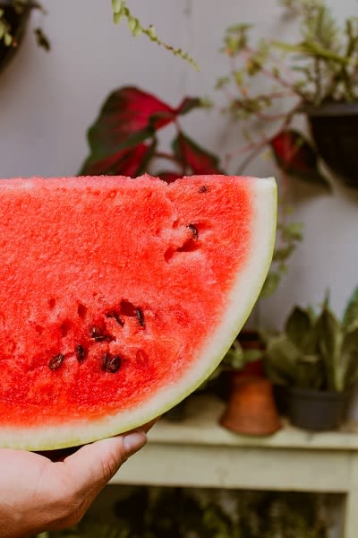 Watermelon Day at Rancho Franciscan Senior Apartments, Santa Barbara, CA