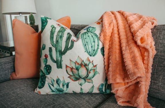 Cactus Image On Pillow at Rancho Franciscan Senior Apartments, California, 93105