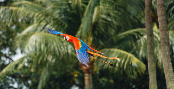 Wildlife at Rancho Franciscan Senior Apartments, California, 93105