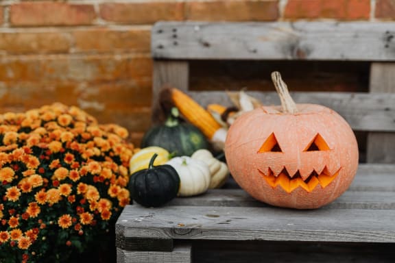 Halloween at Cypress Meadows Senior Apartments, California