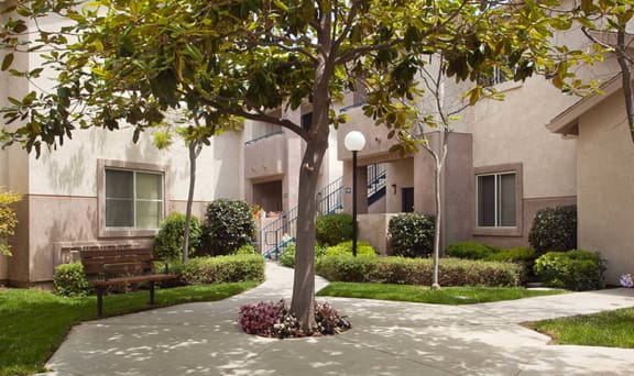 park-bench-near-shady-tree at Cypress Meadows Senior Apartments, California