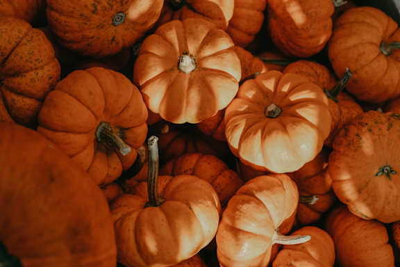 big_pumpkins at Cypress Meadows Senior Apartments, Ventura, California
