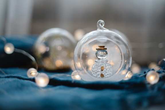 a snow globe with a engagement ring inside of it