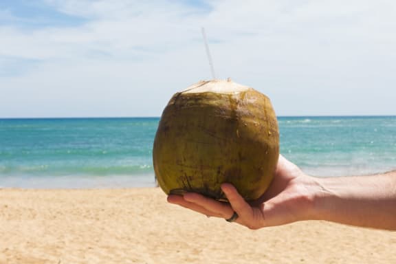 coconut_straw_beach at Cypress Meadows Senior Apartments, California