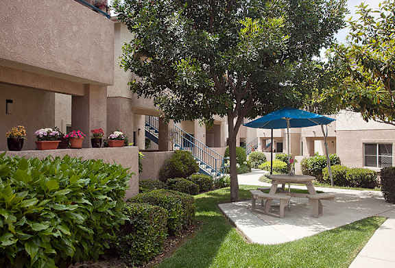 picnic_area at Cypress Meadows Senior Apartments, California