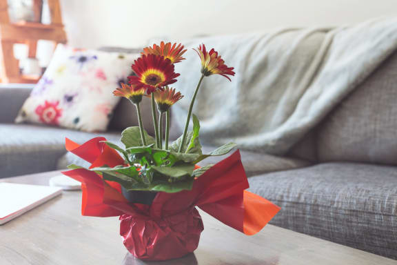 Flowers in Living Room at Cypress Meadows Senior Apartments, Ventura