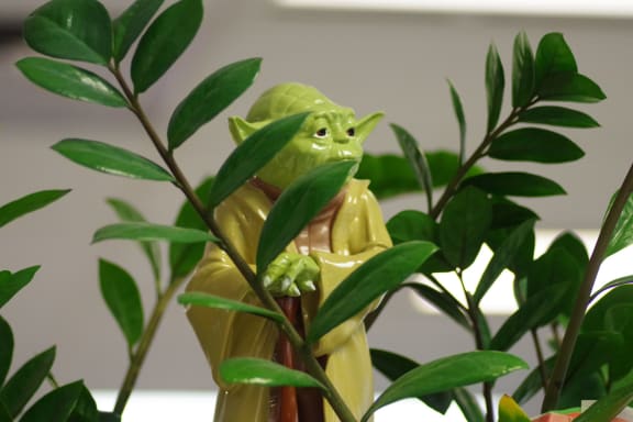 yoga_figurine at Cypress Meadows Senior Apartments, California, 93003