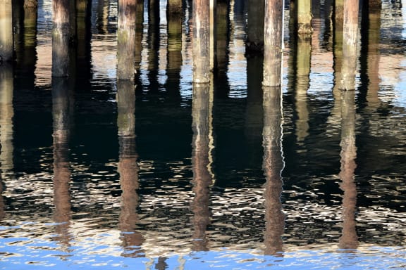 Harbor at Cypress Meadows Senior Apartments, Ventura, 93003