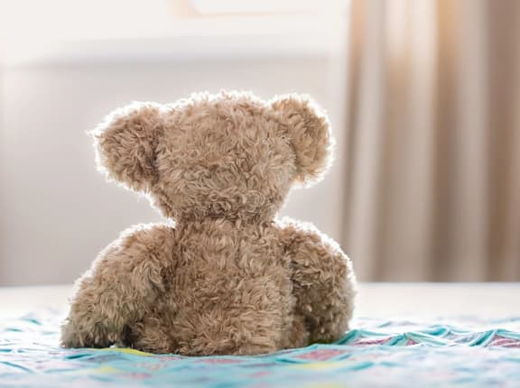 Teddy Bear at Oceanwood Apartments, Lompoc, CA