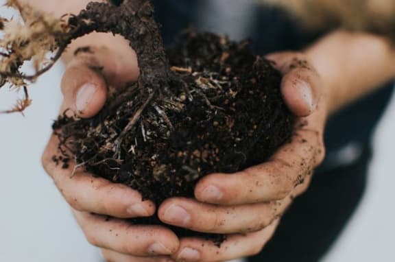 Picture Of Composting at Oceanwood Apartments, Lompoc, CA, 93436