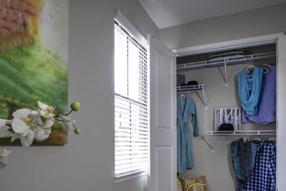 bedroom with large window and mini blinds and open closet