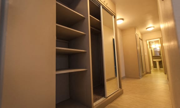 Wall-to-wall closets