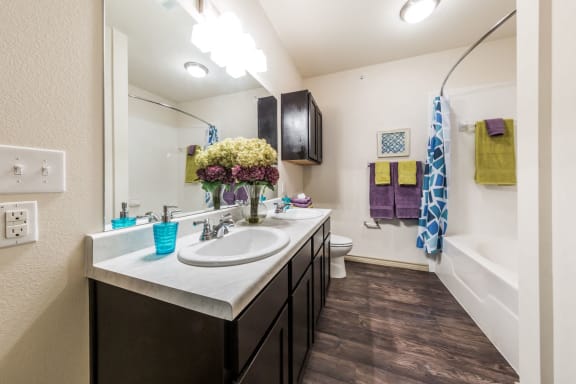 san antonio tx bathroom apartments