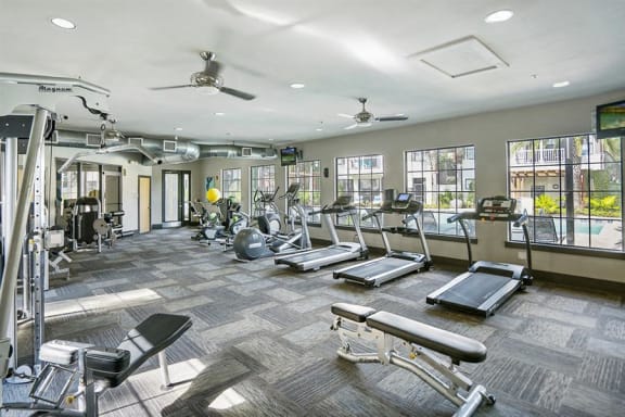 Cardio Machines In Gym at Century Bartram Park, Florida