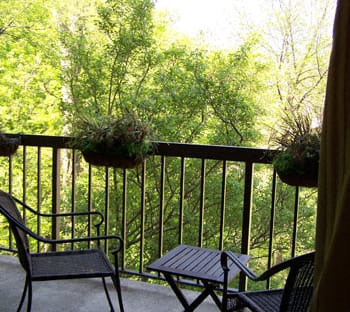 Balcony Or Terrace With Stunning Park Setting View at The Cloisters, Washington, DC