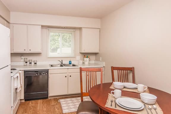 dish washer in Kitchen amenity